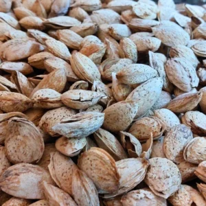 Almond Quetta with Shell 1kg