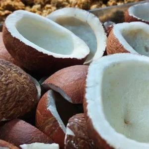 Coconut 1kg11