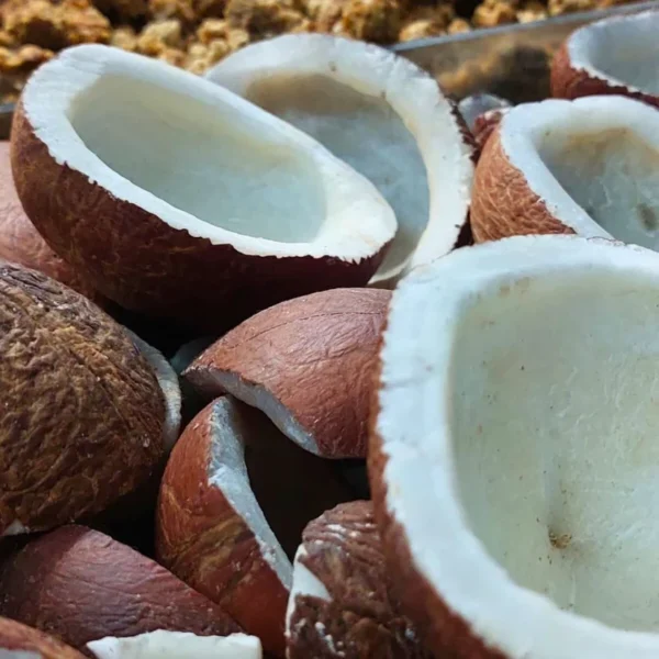 Coconut 1kg11