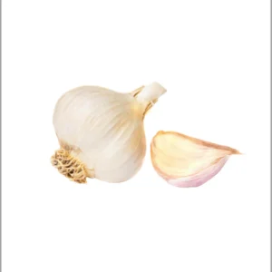 Garlic 500gm