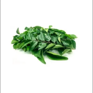 Curry Leaves
