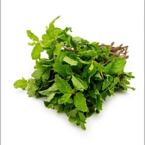 Mint