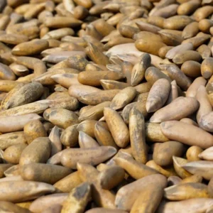 Pine Nuts 1kg