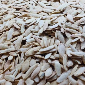 Pumpkin Seeds Salted 1kg