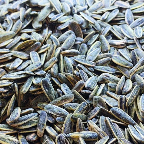 Sun Flower Seeds Roasted1kg