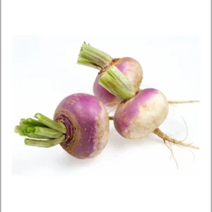 Turnip 1kg